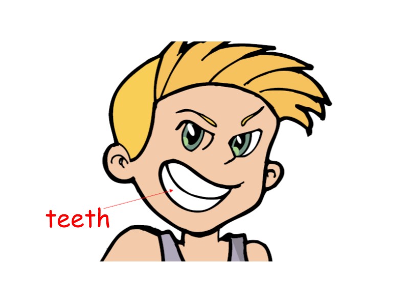 teeth